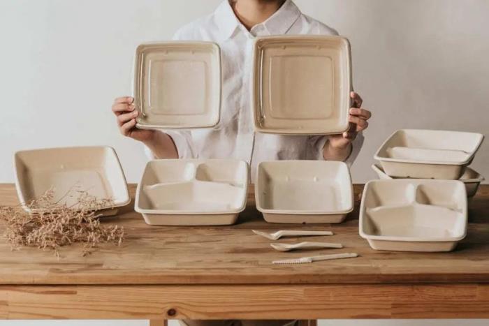 3 compartment Plant Based 1000ml Salad Container